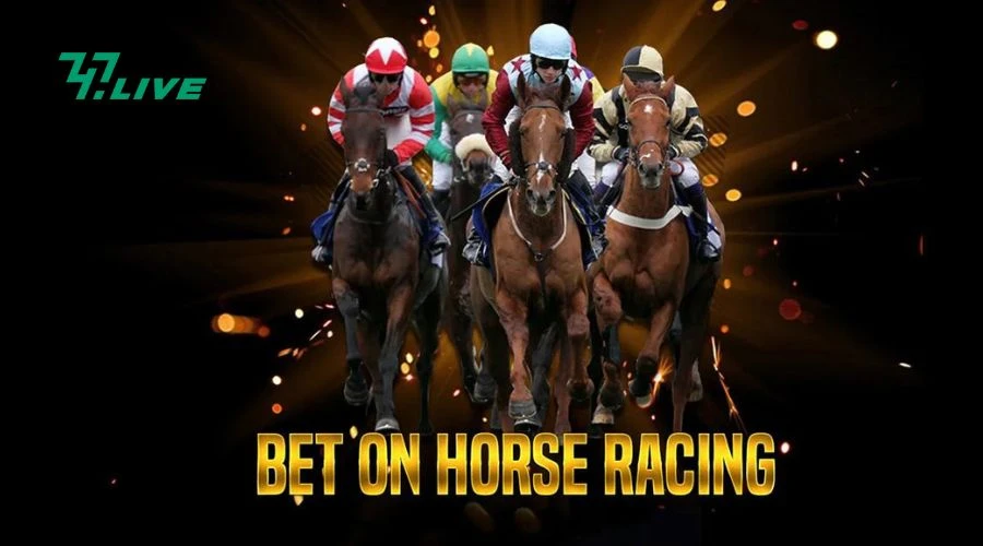 Horse Racing betting at 747live