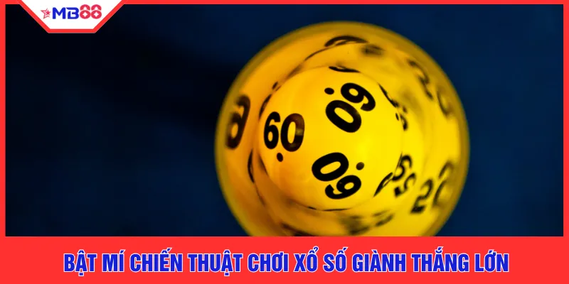 Bật mí chiến thuật chơi xổ số giành thắng lớn