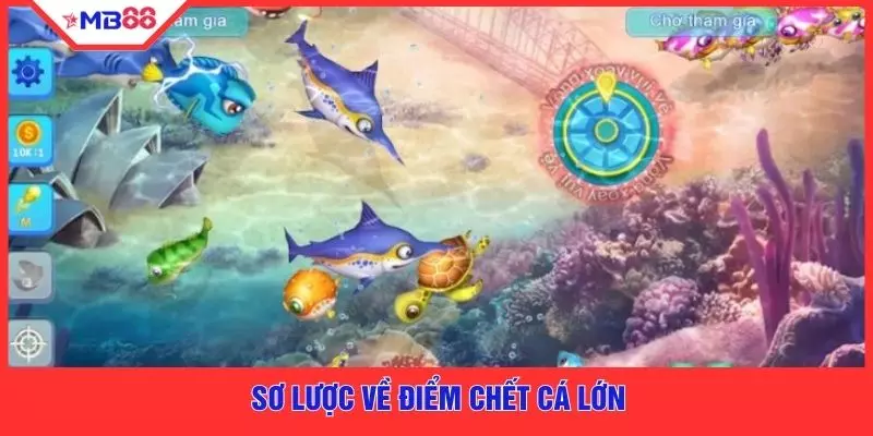 Sơ lược về điểm chết cá lớn